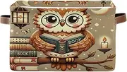 RPLIFE Wise Owl Brown Closet Organizer, Box with Handle, Foldable Storage Organizers, Decorative Storage Box