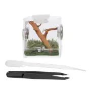 Tarantula Enclosure Jumping Spider Terrarium Reptile Terrarium Tank