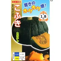 在飛比找蝦皮購物優惠-原包裝 1兩 日本こふき栗子南瓜種子 約250粒 kofuk