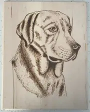 Wood Burning, Animal Pyrography, Handmade, Wood Art, Basswood
