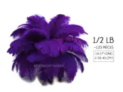 1/2 lb. - 14-17" Purple Ostrich Large Body Drab Wholesale Feathers Mardi Gras