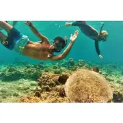 Save 40.00%! Oahu Circle Island: Snorkel with Turtles & Explore Turtle Beach