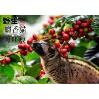 在飛比找蝦皮購物優惠-御粹印尼野生麝香貓咖啡豆（中度烘培）
