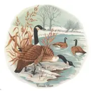Canadian Geese Overglaze Ceramic Decals