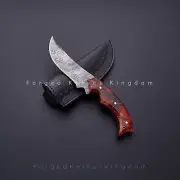Rare!! Custom Handmade Damascus Steel Skinner Drangonfly Knife Acrylic Handle