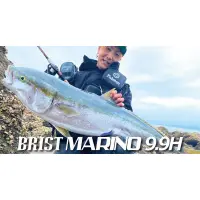 在飛比找蝦皮購物優惠-渥克釣具FISHMAN BRIST MARINO9.9H 槍