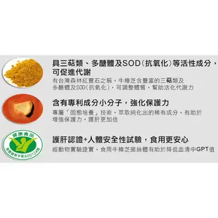 國鼎 力提牛樟芝菌絲體膠囊120粒/瓶【仁仁藥局】牛樟芝