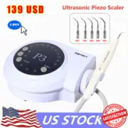 Endo Perio Scaling Dental Ultrasonic Scaler Handpiece 5*Tips fit DTE Satelec