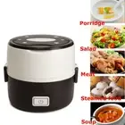 1.0L Portable Electric Lunch Box 2 Layer Mini Steamer Pot Heating Rice Cooker