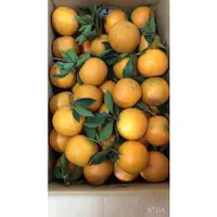 在飛比找蝦皮購物優惠-桶柑 橘子 無籽桶柑一件10斤400
