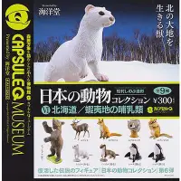 在飛比找蝦皮購物優惠-【轉蛋】海洋堂日本動物收藏6 北海道版 小鼯鼠 日本正版