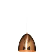 Egg Copper Pendant Light