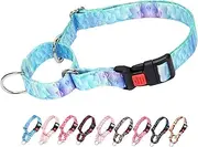 Bule Martingale Dog Collar with Quick Release Buckle Dog Training Collars for Small Medium Large Dogs（19Bule S）