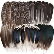 Pheasant Feathers -50pcs 5 Natural Mixed Decorative Spotted Feathers for DIY ...