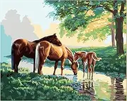 16 x 20 Inch DIY Oil Painting on Canvas Paint by Number Kit Horse Animal Pattern for Adults Beginner Craft Home Wall Decor Framel Multicolor145 Type 3