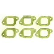 Platinum Extractor Gasket - HSM71