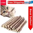 50 Count Silvervine Chew Toys - Organic Cat Dental Sticks for Stress Relief