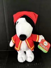 PEANUTS MANY FACES OF SNOOPY BEAN BAG PLUSH FIERCE PIRATE SNOOPY 7" NEW