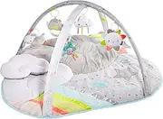 Skip Hop Baby's Silver Lining Cloud Activity Gym
