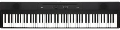 KORG Liano L1SP Keyboard 88 Keys Keyboard