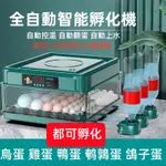 110V孵蛋機 12-64枚 孵蛋機 全自動孵化器 智慧控溫箱 小雞孵化機 智能孵化箱 鵪鶉孵蛋機保溫箱 孵蛋器