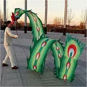 Dragon Dance Silk Chinese Dragon Dance Double Sided 3D Colorful Dragon Silk 6m/ 8m/ 10m Extra Long Dragon Dance Ribbon Dragon Ribbon Streamer (Size : Length 6m/20ft)