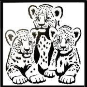 CRAFTBUG STENCIL EXTRA LARGE LAYERING STENCIL 30CM X 30CM ~3 BABY LOINS CODE T1