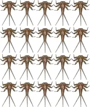 Bass Fly Fishing Lures - 20 Pack Realistic Hand Tied Nymph Fly Baits | Soft Baits for Trout Saltwater Freshwater Fishing, Imitation Fly Tying Components for Fly Rod Anglers, Lure Kit for Men Ou