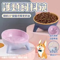 在飛比找蝦皮購物優惠-寵物護頸碗 架高碗 飼料碗 斜口碗 高腳寵物碗 狗碗 貓碗 