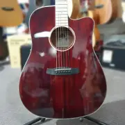 Tanglewood TW5BLB Winterleaf Blonde Dreadnought Acoustic Guitar (Barossa Gloss)