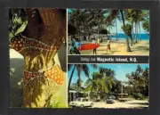A4836 Australia Q Magnetic Is Marilyn Monro Tree Horseshoe Bay MV W72C postcard