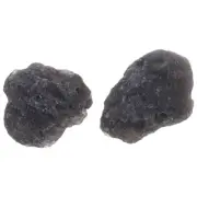 2 Pcs Rough Stone Meteorite Specimen Paleontology Adornment Student