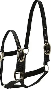 Snowhill Horses Nylon Head Collar Black Pony