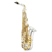 Jupiter JAS1100SGQ Alto Saxophone 1100 Series w/ Silver Body and Gold Keys Backp