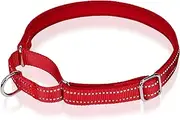 Reflective Martingale Dog Collar, NoBuckle Training Collar For Control & Safety. Service Dog Collar Available In A Vibrant, Colorful Collection, Suitable For Small Medium & Large Dogs Red Large
