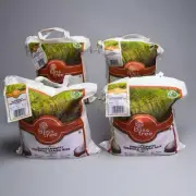 BLISS TREE (4 PACK) Koppampatti Seeraga Samba Rice 10 Lbs White