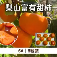 在飛比找台灣好農優惠-灰灰果園 梨山富有甜柿6A 8粒裝