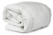 Double Feather and Down Quilt