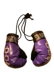SIX NATIONS IROQUOIS Flag Mini BOXING GLOVES .. New