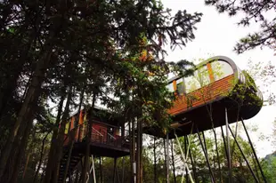 自由家黃山齊雲營地樹屋世界ZYJ Treehouse Land Huangshan Qiyun