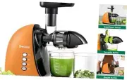 Slow Masticating Juicer, Cold Press Juicer with 2 Speed Modes & Quiet Orange