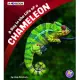 A Day in the Life of a Chameleon: A 4D Book