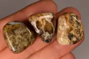 3 *DENDRITIC AGATE* Tumbled Stones 2-3cm 27.9g Chalcedony Tree Healing Crystal