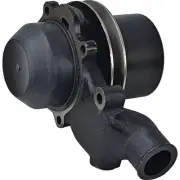 Water Pump Fits Massey Ferguson 3641832M91 1206-6202P