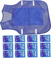 minkissy Reusable Cooling Vest Ice Packs Summer Vest Large Size Cooling Waistcoat for