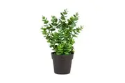 Artificial Eucalyptus Plant in Pot