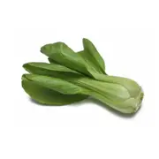 Organic Pak Choy (Green Stem) – Fresh, healthy organic delivery | Doorstep Organics