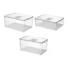 Stackable Airtight Lid Fridge Organization Storage Bin for Apples