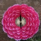 Half-folded Dance Fan 36cm Square Dance Fan Hand Fan Club Performance Props