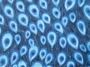 PEACOCK FEATHERS BLUE PEACOCKS FEATHER COTTON FABRIC FQ